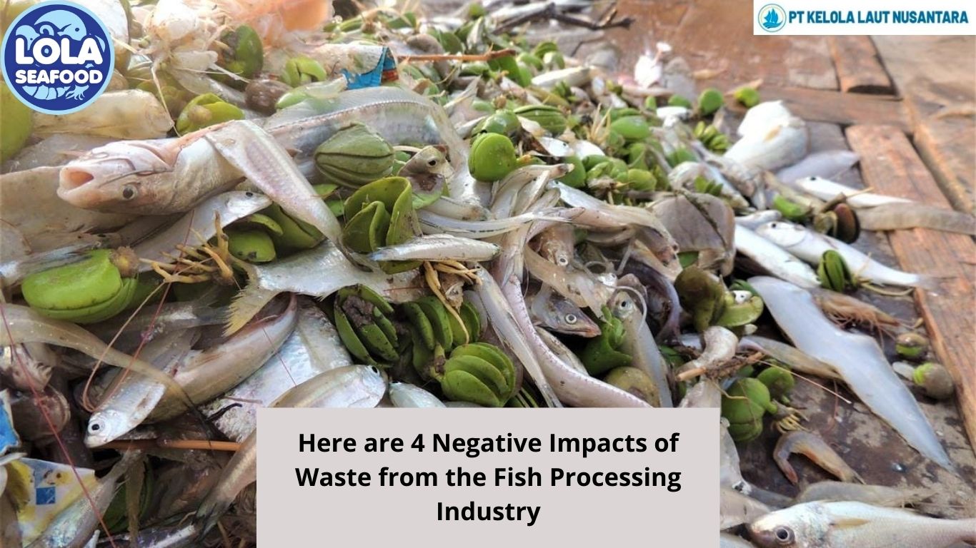 Here are 4 Negative Impacts of Waste from the Fish Processing Industry